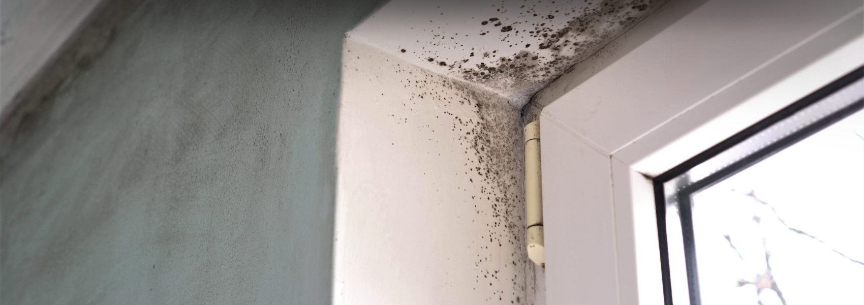 Preventing and dealing with mould